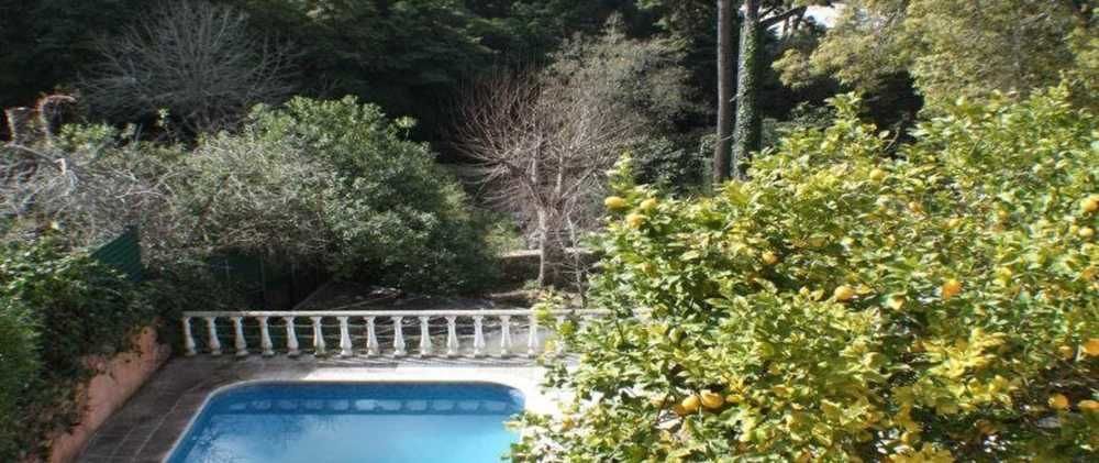 Acucena Vintage Bed & Breakfast Sintra Exterior foto